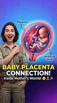 Baby ka development mother ke uterus mein kaise hota hai? 🤰 #trending #biology #baby