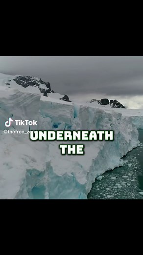 The Free Zone on TikTok