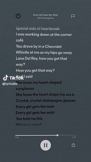 Every Girl Gets Her Wish | Lana Del Rey #audios4you #fyp #lyrics #spotify #audios #lipsync #xcyzba #lanadelrey