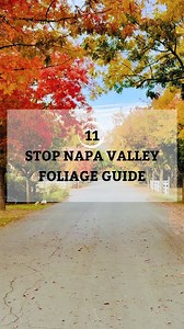 13K views · 304 reactions |  Fall Foliage Guide  If you’ve never...