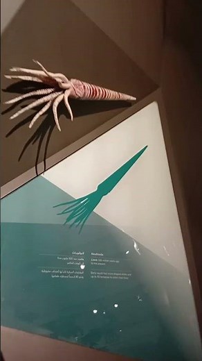 Kinds of animals.By Cathy Broncano