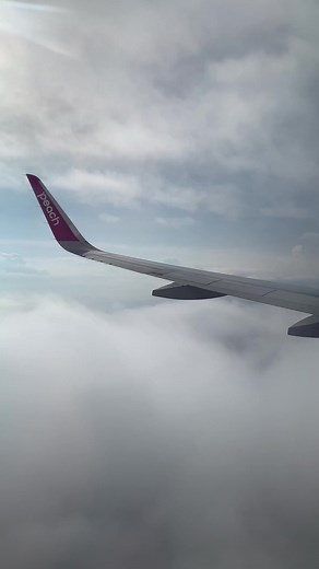 今日は息子には会いませんが鹿児島に😂 #peach航空 #機内から撮影 #鹿児島県 #鹿児島空港 #飛行機好きな人へ #飛行機大好き #着陸動画 #飛行機最高