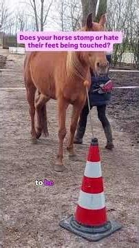 Join me for our Hoof lifting event!