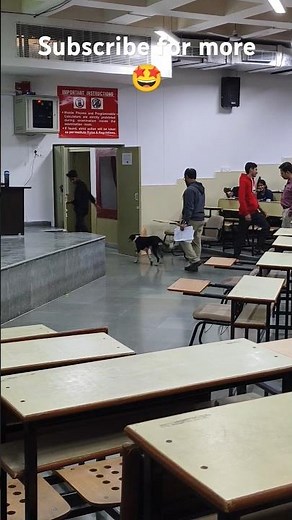 Dog enter in iit classroom