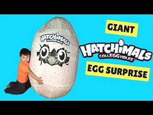 Super Giant Hatchimals Surprise Egg Biggest Hatchimals CollEGGtibles Egg Unboxing 50+ Hatchimals