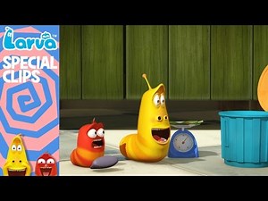 [Official] Don't Waste Food - Special Videos by Animation LARVA