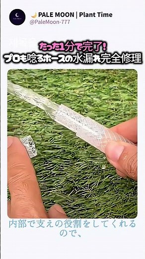 【神技】1分でホースの水漏れが嘘みたいに直る！#便利裏ワザ# Hose Repair# Fix Leaking Hose# Garden Hose Hacks# DIY Worker,