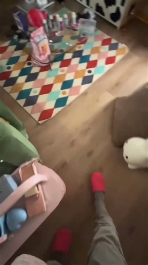 Ur Daily Dose Of Catto Juice🍷 on Instagram: "Car number 2 - - - - - #tiktokmemes #tiktokvideos #kitties #catsofinstagram #kittens #sadcats #catmemes #evilcats #wholesomememes #wholesomecats #catlove #fatcats #funnycatvideos #chonker #dumbcats #qualitymemes #cattos #chonk #paws #sillycats #weirdcats #cat #sleepycats #bigcats #sadcattos #dingus #cursedcats #memes #funny"