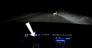 Watch Tesla's Full Self-Driving Beta detect and avoid a deer crossing the road at night