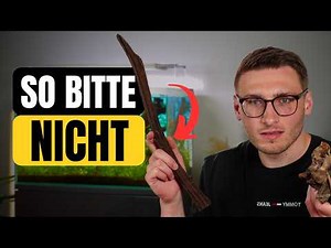 Wood in the aquarium: 5 fatal mistakes and how to avoid them!