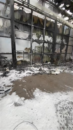 181K views · 111 reactions | Oieng Pakse on Reels | Facebook