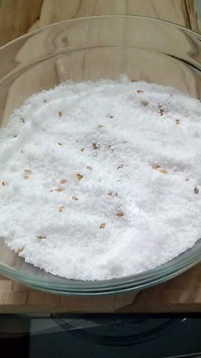 COMO FAZER TAPIOCA DE UMA MANEIRA FÁCIL | RECEITA FÁCIL