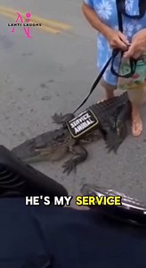 2.2K views | Key West Chaos: Elderly Woman Arrested for Walking Her...