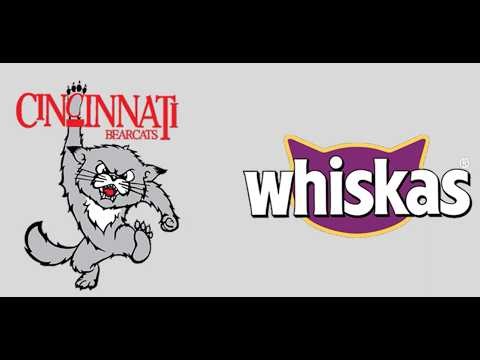 🐱Most Famous Logos With a Cats