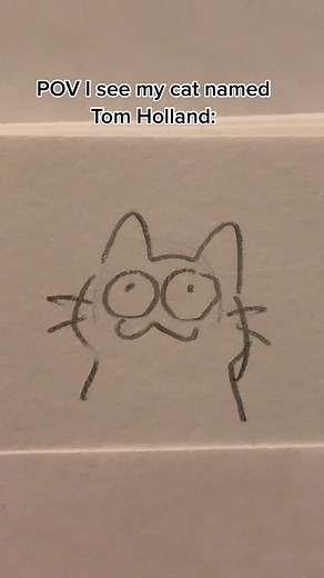 POV I See My Cat Named Tom Holland: Funny Doodle Video