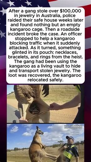 The Kangaroo Vault: A Heist with a Twist