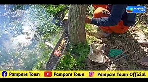 Tehsildar Pampore, Ishtiyaq Mohiuddin carries out anti enchroachment drive to evict Govt Land at 3 at places at Wuyan. Land to be utilized for construction of Govt Buildings. Also, a Cleanliness drive was carried out at Kaaji Naag Wuyan with help of Go Green Volunteers and MC Khrew. | Pampore Town