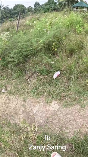 Delivery prank #brodjay #viral #tiktok