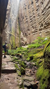 A day exploring Carnarvon Gorge—from morning views with your best mate, exploring trails, to golden sunsets at camp. Thanks to @lachandkenontour for sharing their adventure with us 🌿✨ Have your own Sandstone Park moments? Tag us! #SandstonePark #GuestSpotlight #CarnarvonGorge #AdventureAwaits #CampingLife | Sandstone Park Carnarvon Gorge