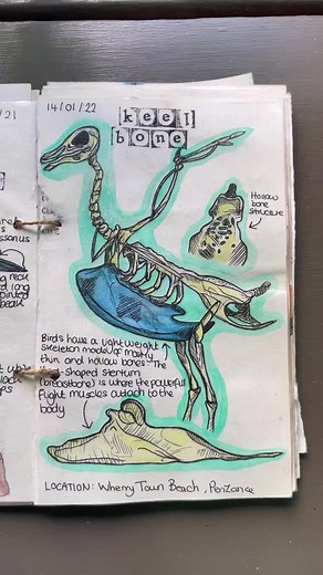 Conservation and Wildlife Art Techniques