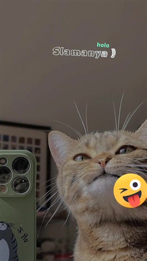 afalrd ⚽🏆 (@alifinmadrid1)’s videos with suara asli - afalrd ☠️💀 - afalrd ⚽🏆