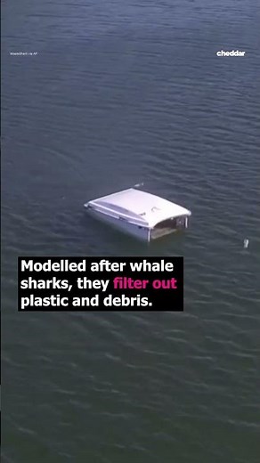 These robotic sharks are cleaning up the U.K.’s rivers and seas