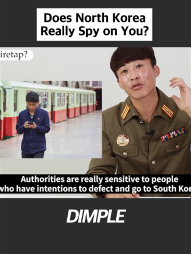 Does North Korea Really Spy on You#dimplevideo #northkorea