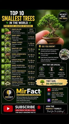 Top 10 Tiny Trees That Look Unreal 😍 #facts #education #top10 #knowledge #youtubeshorts