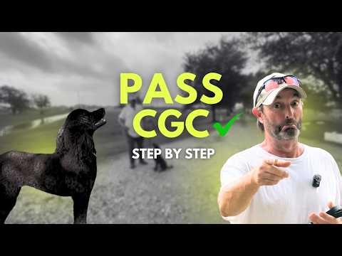 How To Pass The AKC Canine Good Citizen Test | Step-by-Step CGC Dog Training Guide