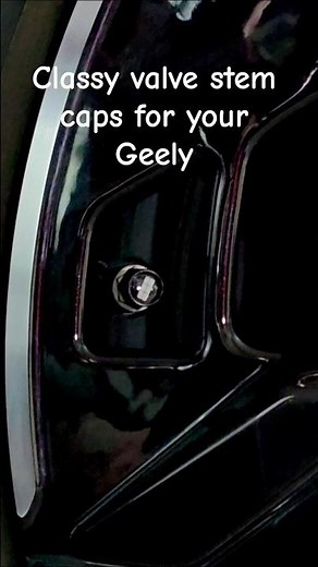 All Premium rides need these valve stem caps - Geely EX5 Starray EM-i