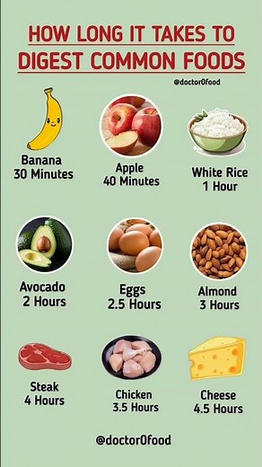 How Long It Takes to Digest Common Foods | Digestion Time Explained #healthyeating