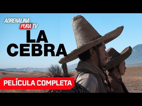 La cebra - Película completa en español latino - Película de comedia | Filmelier TV