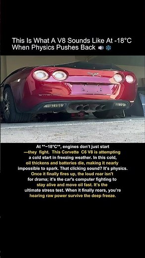 Frozen V8 Engine Sounds INSANE #coldstart #extreme #v8