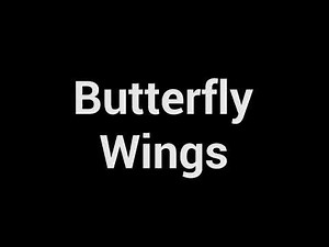Butterfly Wings Sound Effect