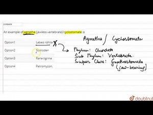 An example of agnatha (jawless vertebrate)/cyclostomate is | 12 | VERTEBRATA-AGNATHA AND PISCES...