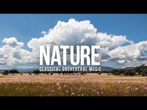 ROYALTY FREE Classical Orchestral Summer Soundtrack / Museum Video Background Music Royalty Free