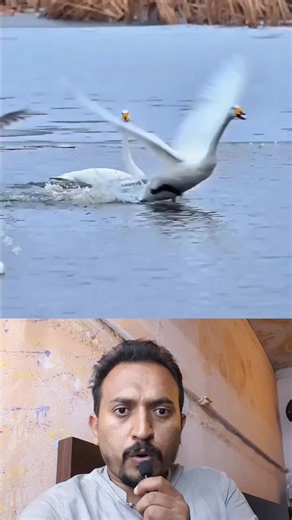 First Time Flying Experience