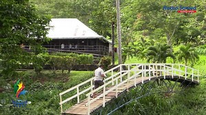 100K views · 2.4K reactions | Samoa Boxing training at Plantation Gym. We talk with Faumuina To'aletai David Tua and Tuigamala Va'aiga Tuigamala #PacificGames #SamoaWeOn | Radio Samoa | Facebook