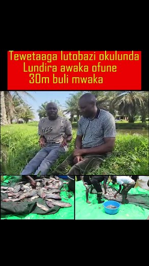 Secrets of Fish Farming in Uganda