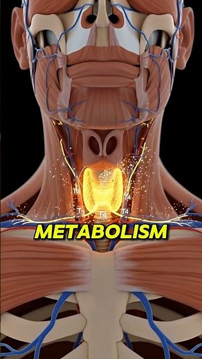How Thyroid Imbalance Affects Your Body | 3D Medical Animation”#health#shorts