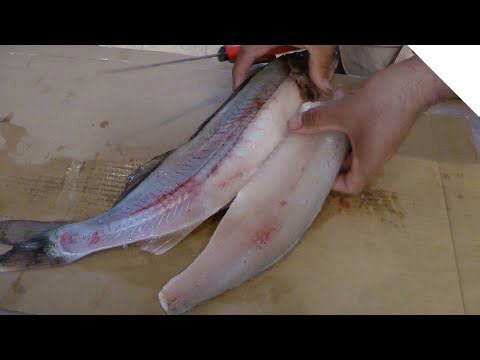 How to "zipper" a walleye - totally boneless fillets