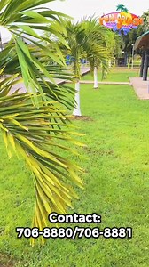 11K views · 25 reactions | #FunSplash#paddleboats#  7068880/7068881 for info Opening time 10 am to 6 pm every day NO GLASS BOTTLES | Fun Splash Water Park | Facebook