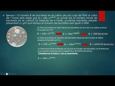 Función Exponencial: Problema Crecimiento de Bacterias