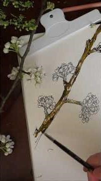 quick sketch of spring blossom watercolor #christianwomen #flowers #watercolorpaintingforbeginners