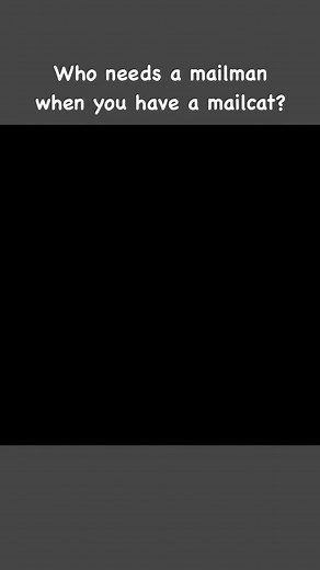 37K views · 2.5K reactions | Who needs a mailman when you have a mailcat? | Shorty and Kodi | Facebook