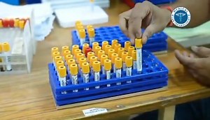 9.6K views · 156 reactions | World Class Automated Lab.. To cut down...