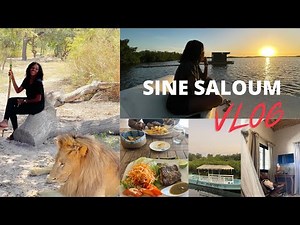 À LA DÉCOUVERTE DU SINE SALOUM, SENEGAL !