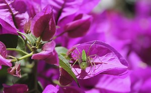 Pronóstico del clima en Aguascalientes y sus municipios hoy 11 de marzo del 2022