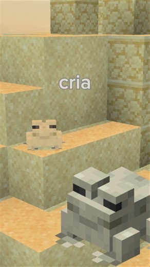 Nunca Parei De Andar 🐸 #minecraft #motivacional #shorts