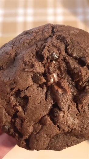 Double Chocolate Chip Cookies #chewycookies #chocochipcookies #cookies